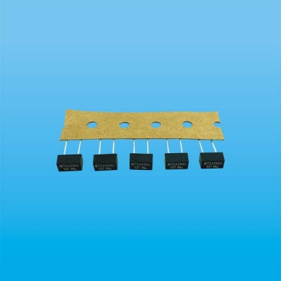 SQT Φ8.4×4.0×5.2 方形塑封保险丝（慢断型）